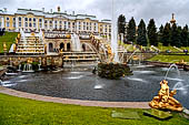 San Pietroburgo - Reggia di Peterhof 